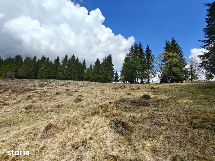 Teren de 3040 mp, în Beliș