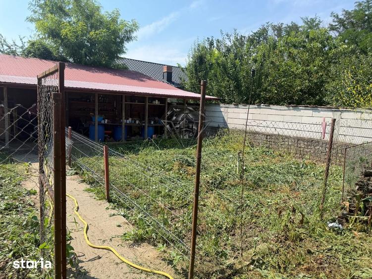 Casă cu 3 camere cu Teren 5000 Mp în Berceni