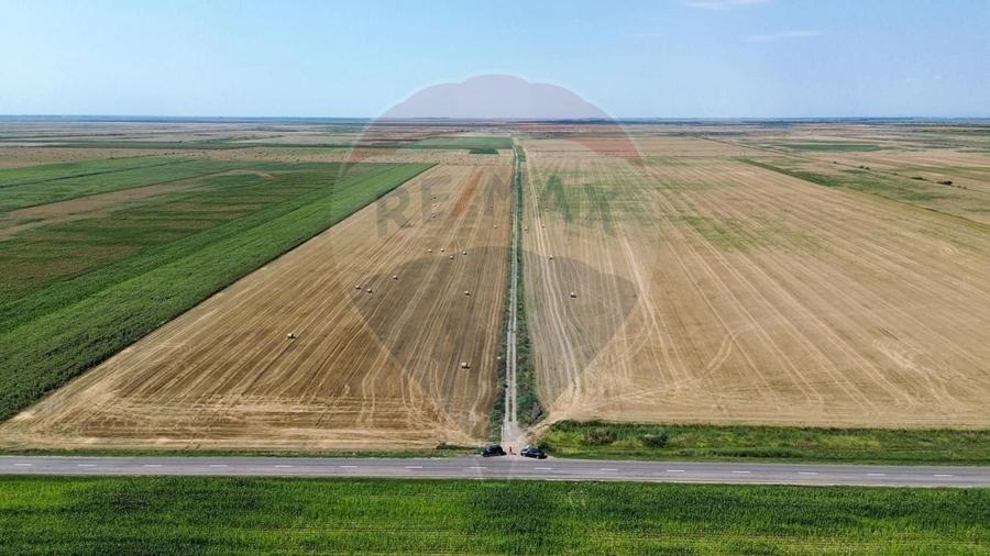 Teren agricol extravilan de 1486280 mp, în Măicănești