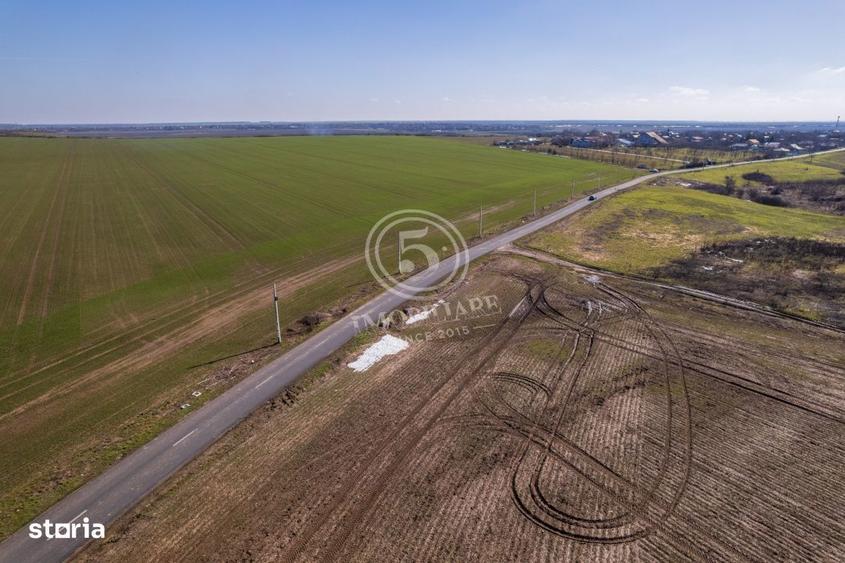Oportunitate Investitionala: Teren 8 Ha Nuci, Calarasi - 7