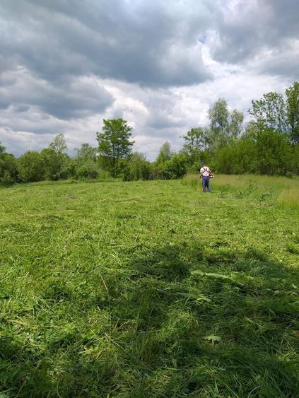 Teren de 3000 mp, în Răzvad