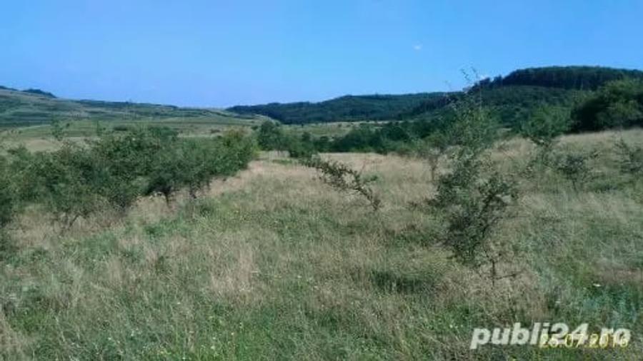 Teren în Borhanci