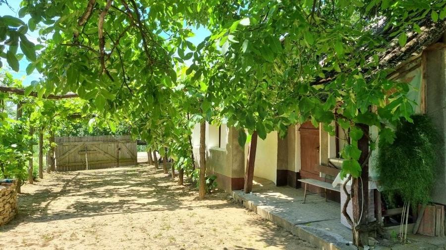 Casă cu 2 camere în Șimian