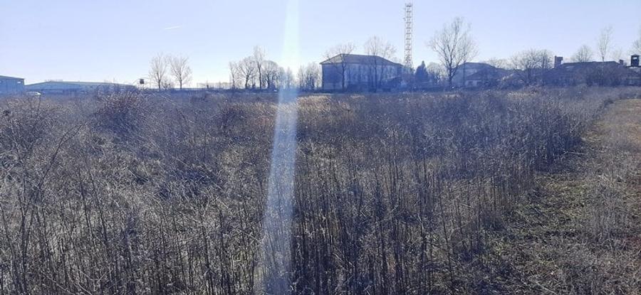 Teren Construcții intravilan de 5011 mp, în Exterior Vest