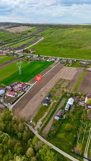 Teren Construcții intravilan de 6209 mp, în Roșiori