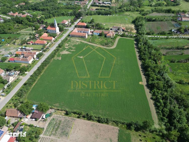 Teren de 16716 mp, în Traian Vuia