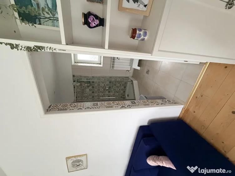 Casa de vanzare Nicolae Balcescu,judetul Constanta,teren 2300 mp. - 9