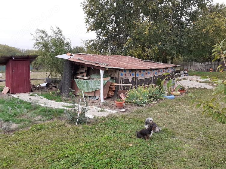 Casă cu Teren 1592 Mp în Schitu