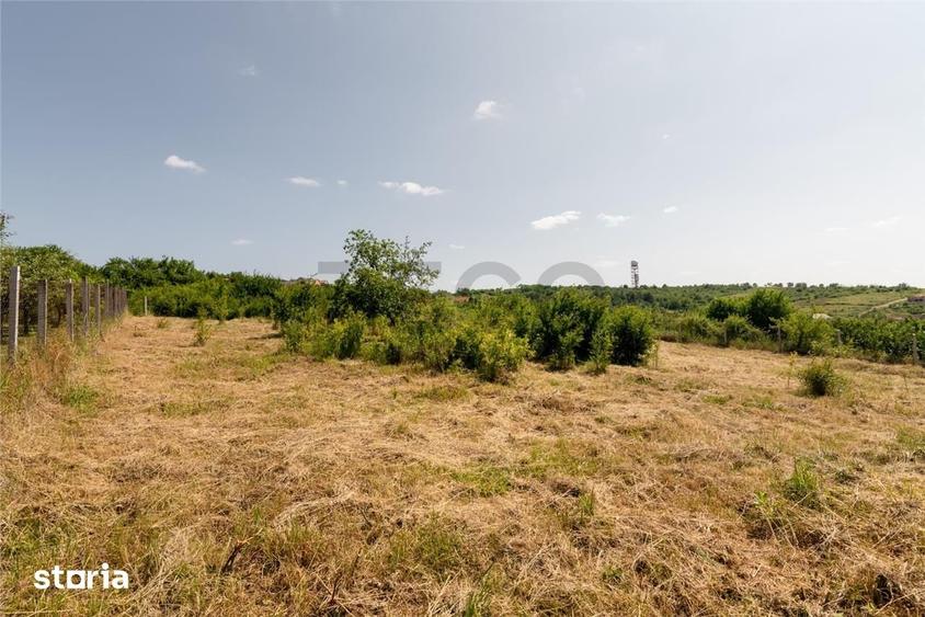 Teren de 1200 mp, în Oncea