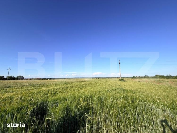 Teren de 9550 mp, în Brazda lui Novac