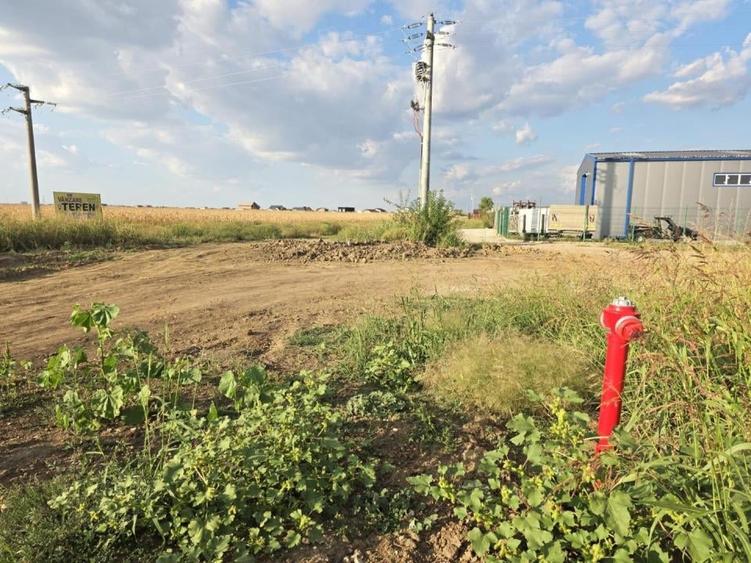 Teren intravilan în Nord-Est