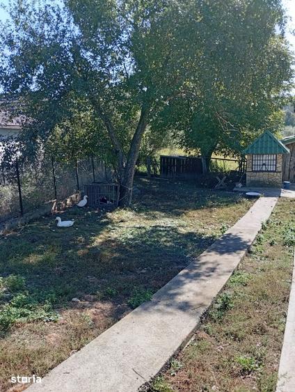 Casă cu 5 camere cu Teren 5500 Mp în Central