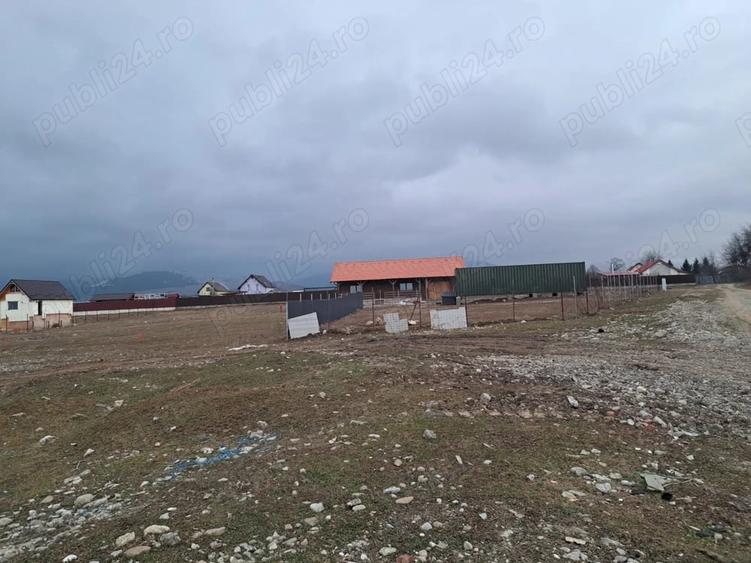 Teren de 1450 mp, în Cărpiniș