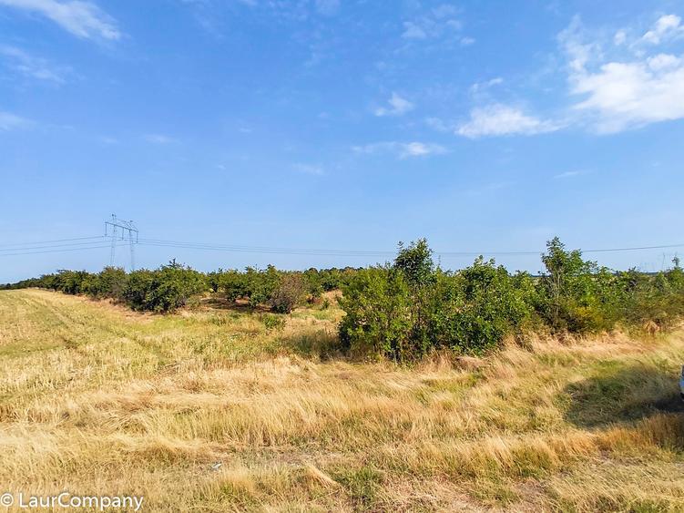 Teren extravilan de 7320 mp, în Lunca Corbului