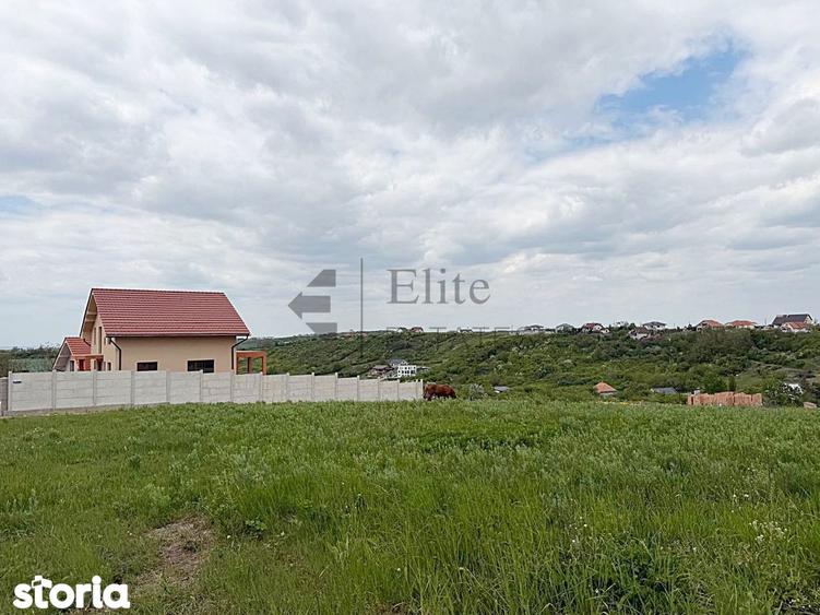 Teren intravilan 843 mp, zona Dealuri Oradea | Panorama superba - 5