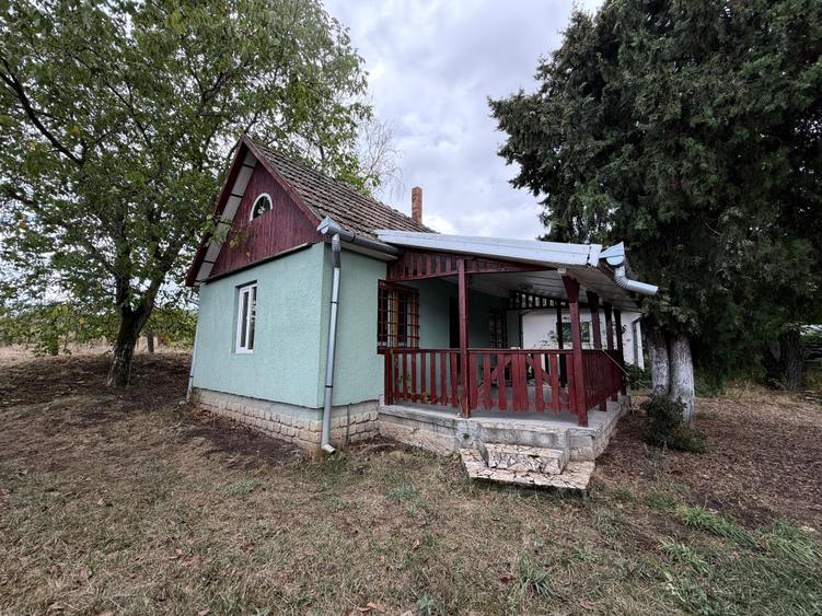 Casă individuală cu 1 camere cu Teren 1924 Mp în Exterior Sud