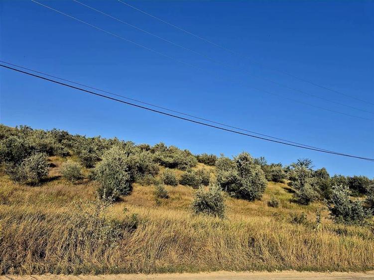 Teren agricol extravilan de 27660 mp, în Lețcani