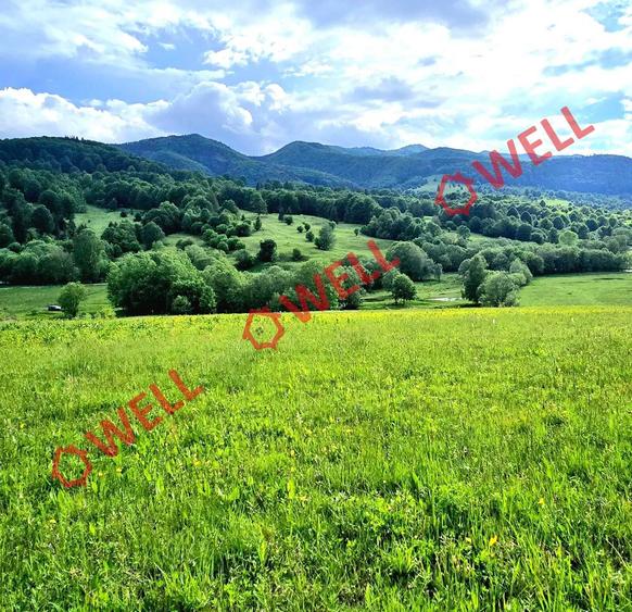 Teren agricol extravilan de 9289 mp, în Vama Buzăului