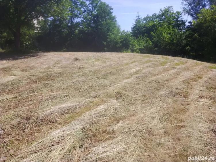 Teren de 4000 mp, în Copăceni