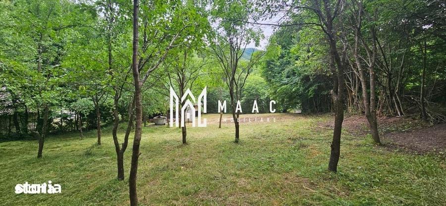 Spațiu comercial, în Cisnădioara