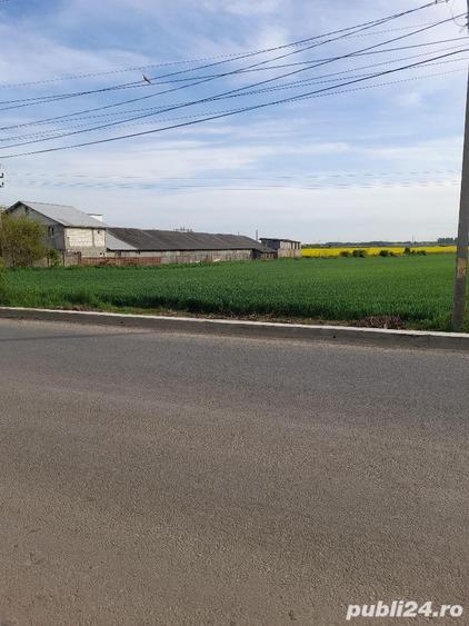 Teren de 5000 mp, în Central