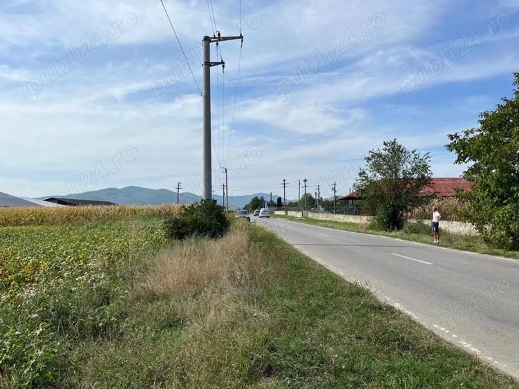 Teren de 10000 mp, în Central
