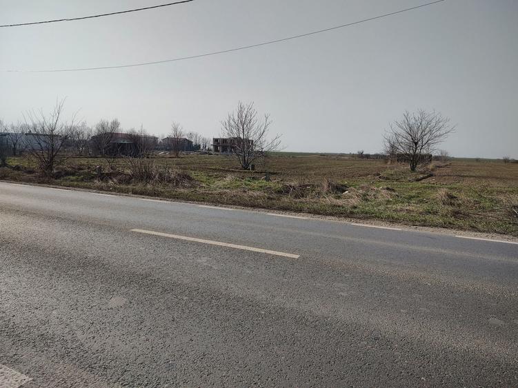 Teren de 5000 mp, în Frumușani