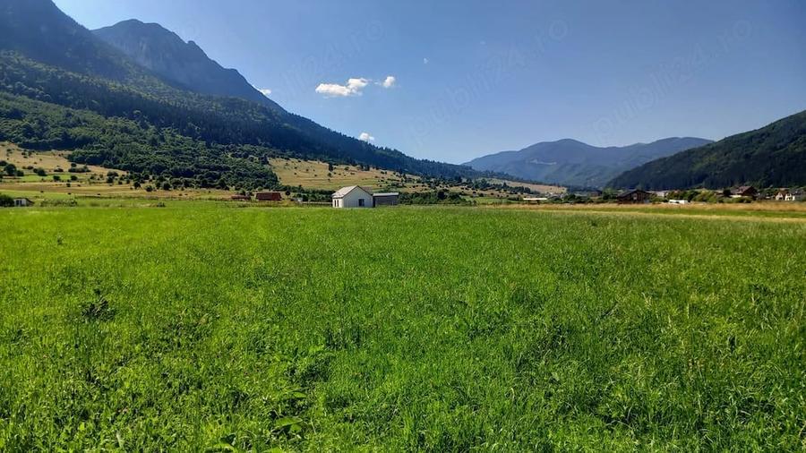 Teren de 1136 mp, în Central