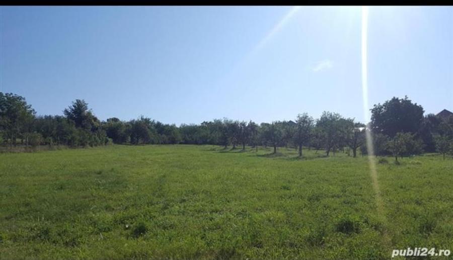 Teren Construcții intravilan de 6000 mp, în Periferie
