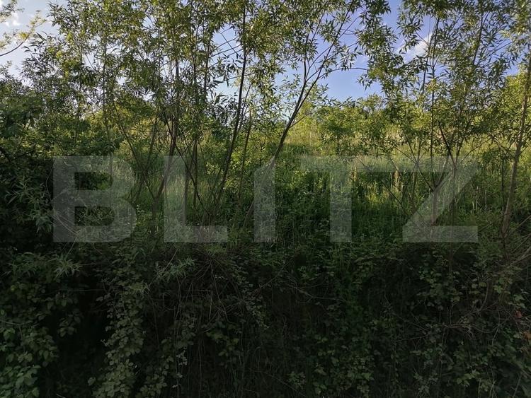 Teren agricol intravilan de 14400 mp, în Gemenea-Brătulești