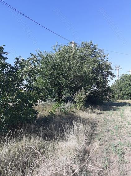 Teren de 4000 mp, în Căldărușeanca