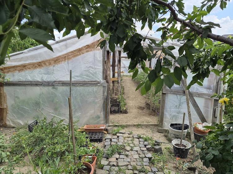 Casă cu 3 camere cu Teren 750 Mp în Vladimirescu