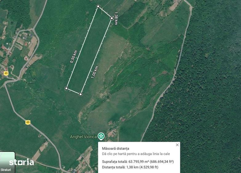 Teren de 65000 mp, în Mironeasa