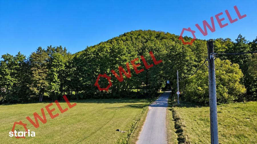 Teren de 16800 mp, în Bățani