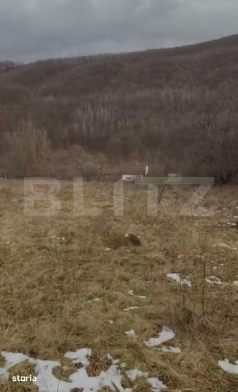 Teren de 3300 mp, în Ciurila