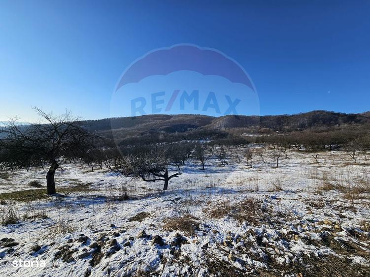 Teren 5,054mp intravilan - Strada Dealul Malului / Ramnicu Valcea - 6