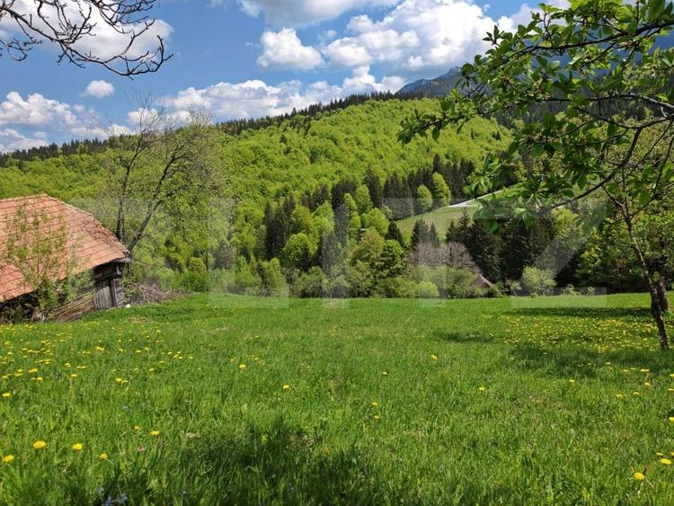 Teren Construcții intravilan de 3400 mp, în Bran