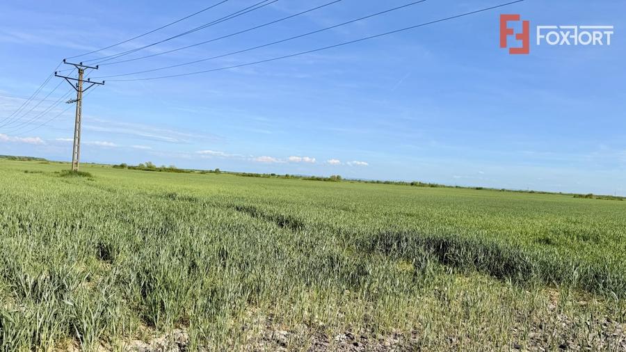 Teren intravilan de vanzare cu toate utilitatile - Bucovat - 2