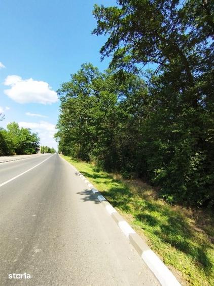 Teren de 3700 mp, în Snagov