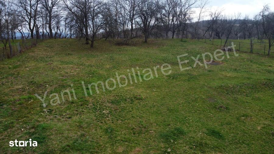 Teren de 2674 mp, în Cepari