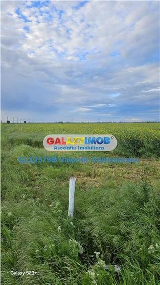 Teren intravilan de 17845 mp, în Central
