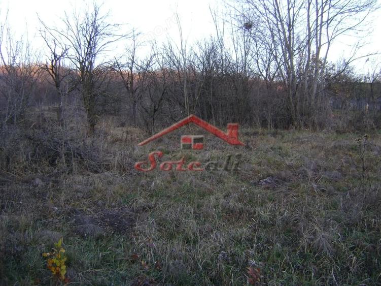 Teren de 2313 mp, în Cornu