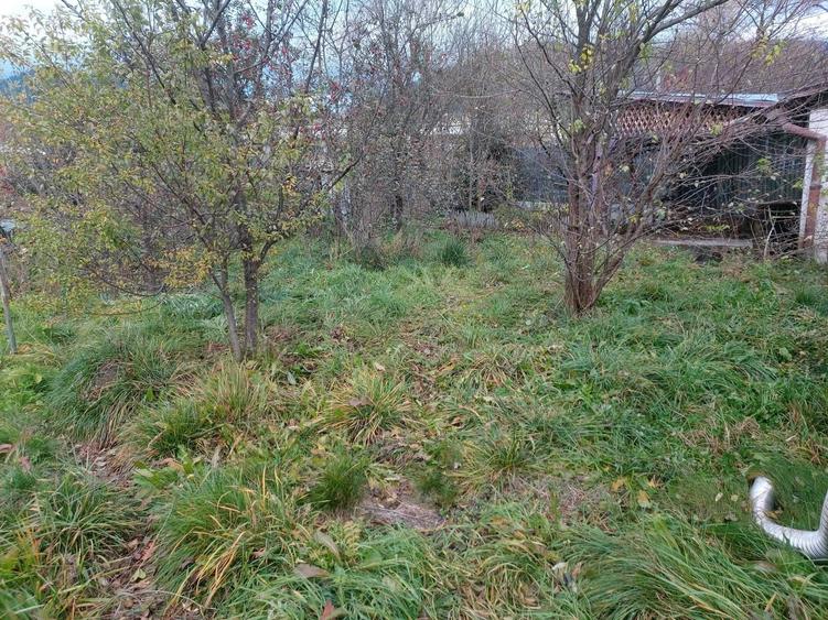 Casă cu 4 camere nedecomandat cu Teren 556 Mp în Central