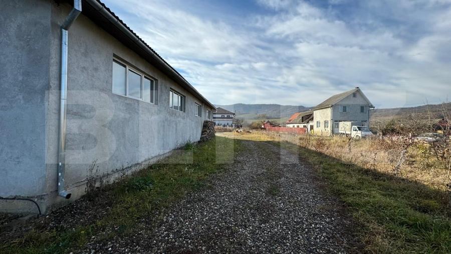 Afacere la cheie, casa de locuit si 28 ari de teren in Arcalia - 10