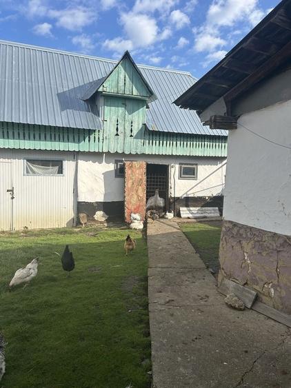 Casă cu 3 camere în Prohozești