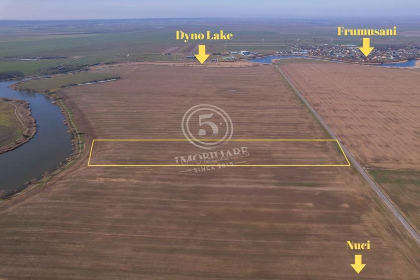 Teren Construcții intravilan de 17500 mp, în Frumușani