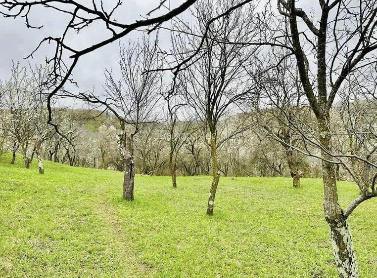Vand teren intravilan, zona de munte superba!