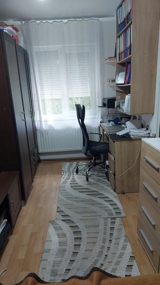 Apartament cu 2 camere semidecomandat în Țerova