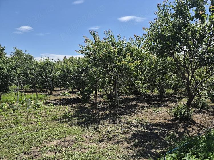 Teren de 900 mp, în Năsturelu