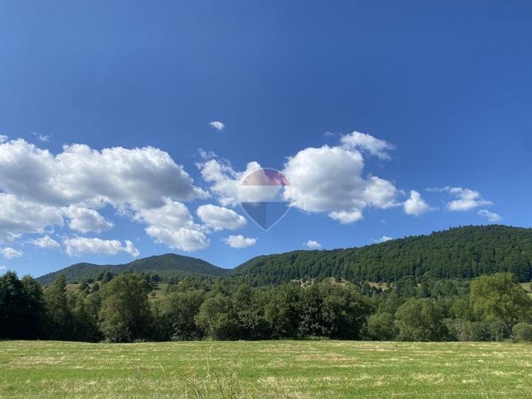 Teren agricol extravilan de 4306 mp, în Vama Buzăului